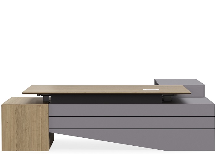 SOIDDD EXECUTIVE DESK